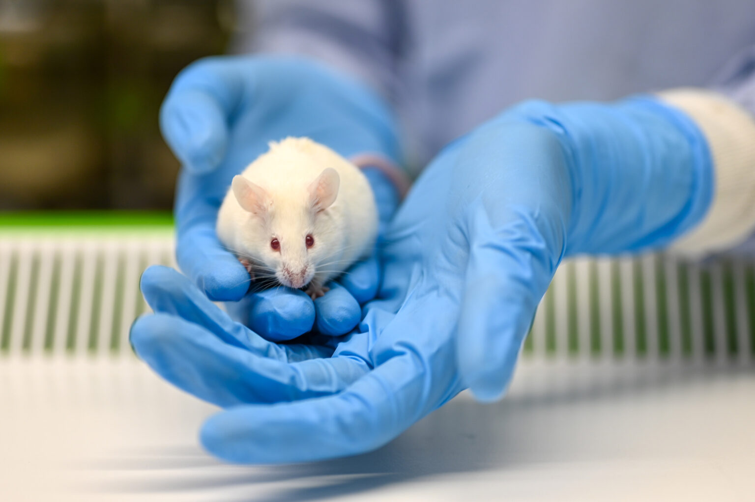 use of animals in medical research